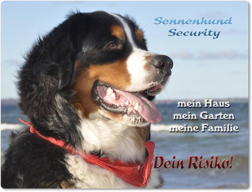 fashion dog hundemantel Hunde Mantel Fleece Fashion Dog Hundemantel Speziell Für Dackel – Braun,  Wasserfest & Warm Für Den Winter Wintermantel Für Dackel