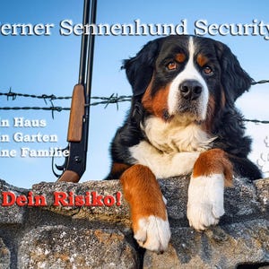 Op de afbeelding: Een Berner Sennenhond met zwarte, witte en bruine vacht, rustend op een stenen muur. Een geweer en prikkeldraad zijn op de achtergrond. Tekst bevat "Berner Sennenhund Security", "mein Haus mein Garten meine Familie" en "Dein Risiko!"