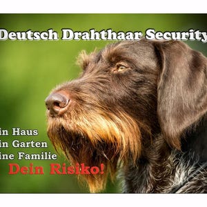 Könnte beinhalten: Nahaufnahme eines braunen Deutsch Drahthaar-Hundes mit Bart und aufmerksamem Blick. Der Text lautet "Deutsch Drahthaar Security" und "Dein Risiko!" in Rot. Der Hintergrund ist ein verschwommenes Grün.