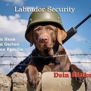 Könnte beinhalten: Ein brauner Labrador mit grünem Helm und schwarzem Gewehr, positioniert hinter einem Stacheldrahtzaun. Das Bild enthält den Text "Labrador Security" und "Dein Risiko!" in Rot, mit zusätzlichem deutschem Text.