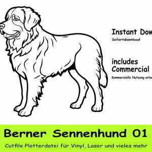 Berner Sennenhund 01 Porträt Cutfile svg Clipart schwarz Vektor Grafik Kunst Kunstwerk Portrait digital svg cut pdf eps png jpg