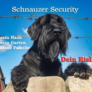 Könnte beinhalten: Ein schwarzer Schnauzer-Hund mit langem Bart und Schnurrbart, positioniert hinter einer Steinmauer und einem Stacheldrahtzaun. Das Bild enthält Text mit der Aufschrift "Schnauzer Security" und andere deutsche Sätze. Ein Gewehr ist links zu sehen.