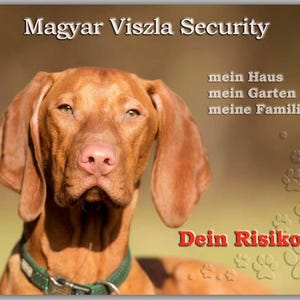 Könnte beinhalten: Nahaufnahme eines Magyar Vizsla-Hundes mit grünem Halsband. Das Bild enthält Text mit der Aufschrift "Magyar Vizsla Security", "mein Haus mein Garten meine Familie" und "Dein Risiko!" auf braunem und grünem Hintergrund.