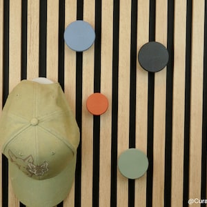 Könnte beinhalten: Eine hell olivgrüne Baseballkappe mit Fuchsgrafik hängt an einem Wandhaken. Vier weitere kreisförmige Wandhaken in Blau, Schwarz, Orange und Salbeigrün sind auf einem Holzlattenpaneel mit vertikalen schwarzen Zwischenräumen angeordnet.