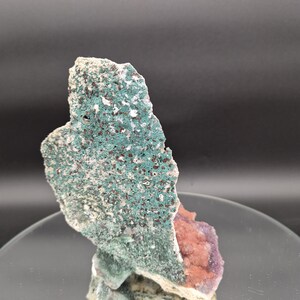May include: A close-up of a natural mineral specimen. The stone features a textured surface with a teal-green hue and small brown spots. A section of the stone has a reddish-purple color. The mineral sits on a clear, round surface.