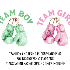 Equipe Boy e Equipe Girl, luvas de boxe rosa e verde PNG - 2 clipart PNG, para o evento principal de boxe, revelação de gênero, chá de bebê