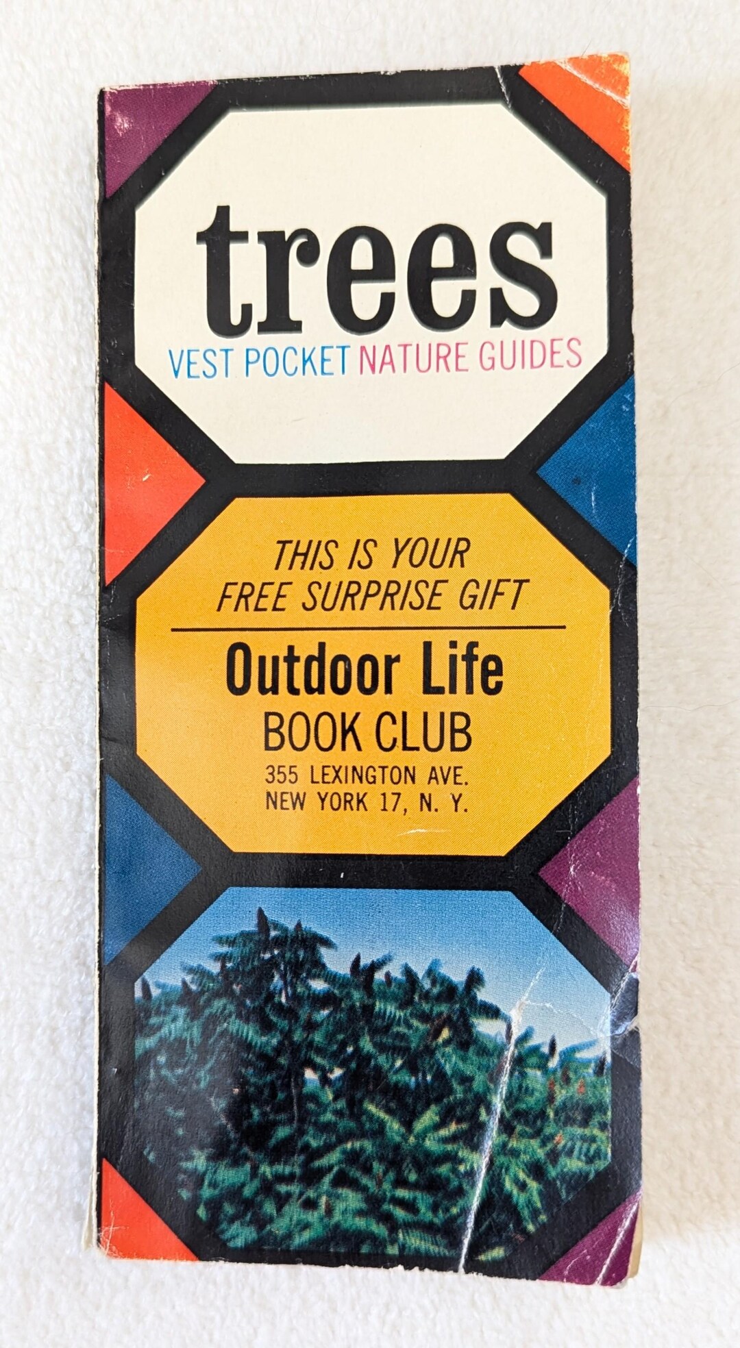 Vintage 1963 Pocket Tree Guide Book | Outdoor Life Book Club Nature ...