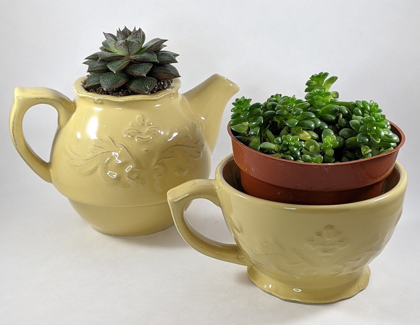 Vintage Tea Cup Planter Garden Tea Pot Yellow Ceramic Tea Pot Etsy