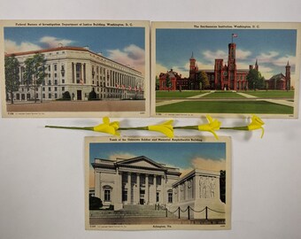 Vintage Historical Landmark Postcard Bundle, Capitol Souvenir Co., Unused