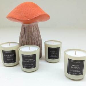 Candle Flight Sampler Set: Apple Crisp, Pumpkin Spice, Coco-Soy Wax