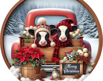 May include: Two black and white calves wearing red and white winter hats and scarves are riding in the back of a red vintage pickup truck. The truck is decorated with poinsettias and greenery. The sign on the back of the truck reads "Mooey Christmas".