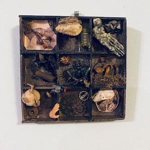 May include: A square dark brown wooden shadow box with nine compartments containing various objects including a skeletal hand, a metal spring, gears, dried mushrooms, a small plastic hand, a fly, and two paper illustrations of anatomical structures.