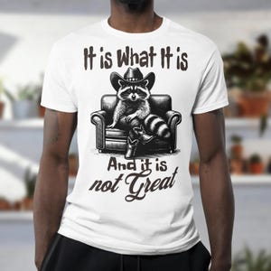 It Is What It Is And It Is Not Great Png Svg, Funny Sarcastic Vintage Trash Panda Raccoon meme Shirt Sticker Svg Png Sublimation Designs