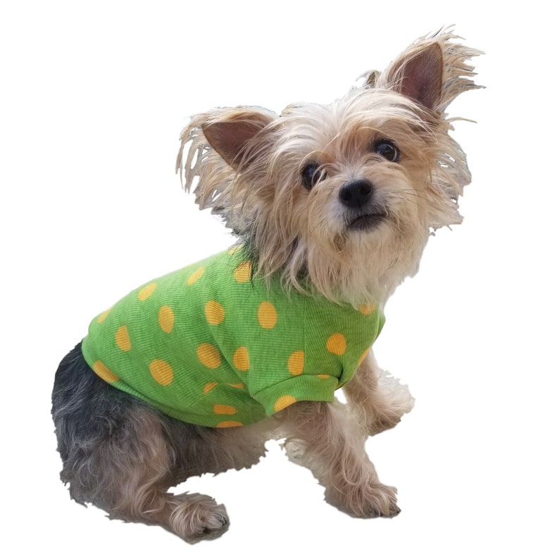 Green Dog Shirt with Yellow Polka Dogs Small Dog Shirt 4 Etsy