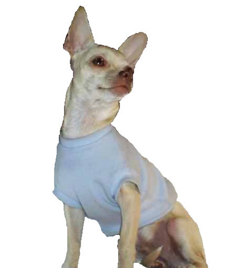 Light Blue Dog Shirt 4 Sizes Available Guaranteed to fit Etsy
