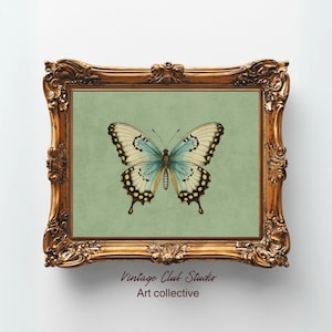 Vintage Butterfly Print, Dark Moody Insect Printable Wall Art, Cottagecore Saige Green Decor Digital, Antique Moth Painting Digital Wall Art