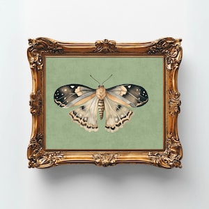 Vintage Butterfly Print, Dark Moody Insect Printable Wall Art, Cottagecore Saige Green Decor Digital, Antique Moth Painting Digital Wall Art