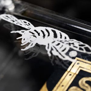 May include: A white bee design etched into a black surface. The bee is detailed with stripes and has a textured appearance.