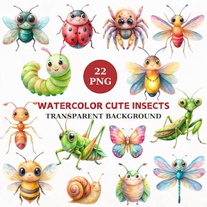 22 süße Insekten Clipart Bundle, süße Käfer png, Insekten Digital Art druckbare Insekten, Ameise, Fliege, Spinne, Biene, Aquarell Insekten Illustrationen