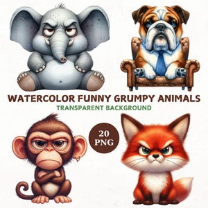 Watercolor Funny Grumpy Animals Clipart, 20 Transparent png, Cartoon Pet Prints Bundle, Instant Download, Watercolor Animals, Commercial Use