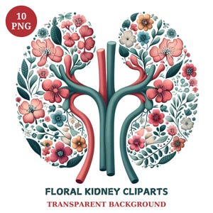 Floral Kidney Clipart Bundle: Medical Nurse Art (PNG)