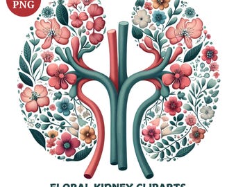 Floral Kidney Clipart Bundle: Medical Nurse Art (PNG)