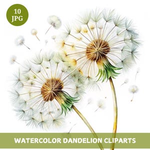 10 Löwenzahn Clipart Bundle, Aquarell Löwenzahn, Botanische Löwenzahn, hochwertige JPGs, digitaler Download, Papiermodell, Junk Journals