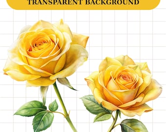 Watercolor Yellow Rose Clipart Bundle: Transparent PNG Images (Digital Download)
