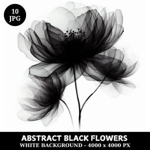 Abstract Black Flowers Clipart Bundle: Watercolor Style, Digital Download
