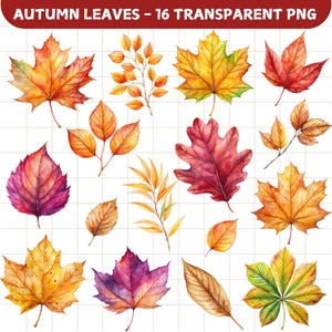 Watercolor Fall Leaves Clipart Bundle: 16 Transparent PNG (Digital Download)