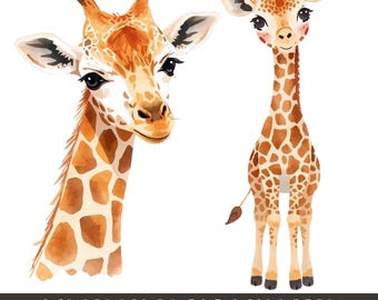 Aquarel babygiraf clipartbundel, 6 png- en jpg-bestanden, kinderkamerontwerpen, digitale download