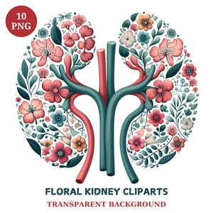 Floral Kidneys Clipart, 10 High-Quality png, Kidney Flowers Clipart Bundle, Nurse Art, Medical Art, Printable Illustration, Medical png