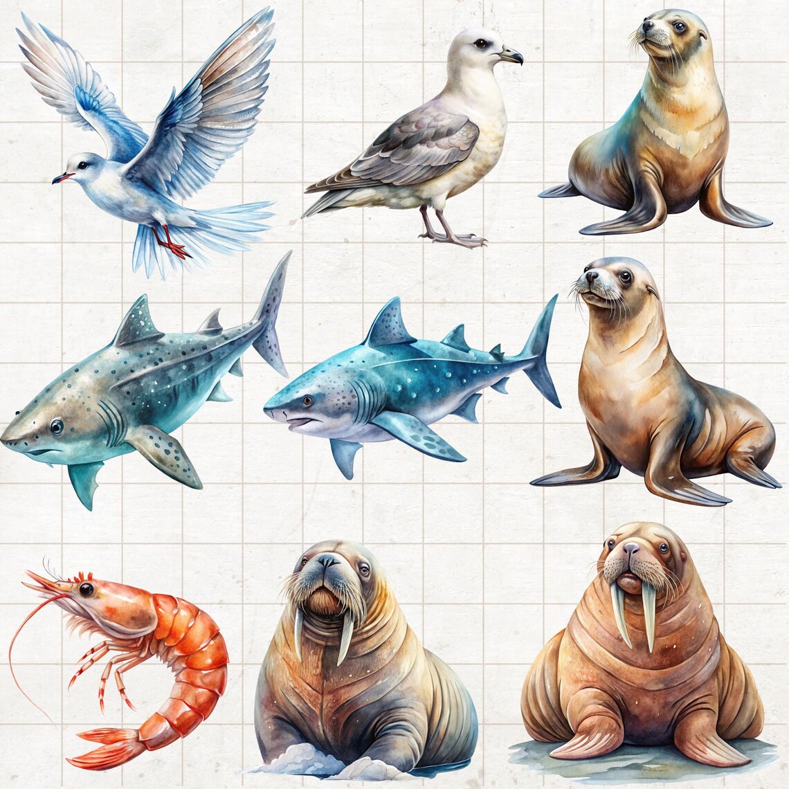 Watercolor Arctic Animals Clipart Bundle: 44 PNG Designs (digital ...