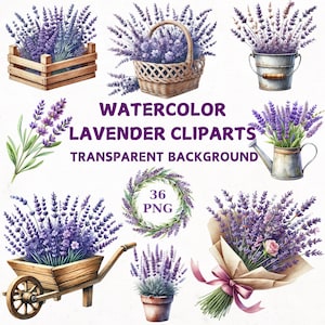 Watercolor Lavender Clipart, 36 Transparent png, Purple Flowers, Spring Meadow, Wedding Clipart, Lavender Floral Clipart, Lavender bouquet