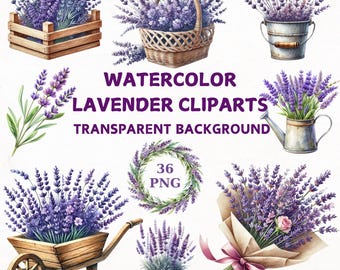 Watercolor Lavender Clipart Bundle: 36 PNG Floral Designs (Digital Download)