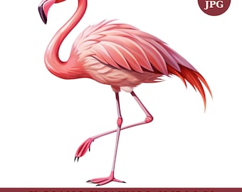 Elegantes Flamingo Clipart Bundle: Tropische Vogel Kunst (Digitaler Download, 10 JPGs 4000x4000 px)
