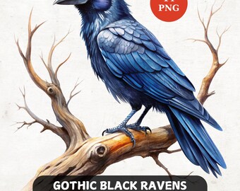 Gothic Black Raven Clipart Bundle: Watercolor PNG (Digital Download)
