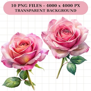 Pink Rose Clipart Bundle, 10 Transparent png, Watercolor Rose Stem Images, Printable Roses, Instant Download, Digital download