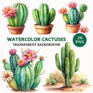 Puede incluir: Ilustraciones de acuarela de varios cactus en diferentes estilos y colores. Los cactus se representan en macetas, floreciendo con flores rosas, y creciendo en un paisaje desértico. El texto "WATERCOLOR CACTUSES 20 PNG TRANSPARENT BACKGROUND" es visible en la parte superior de la imagen.