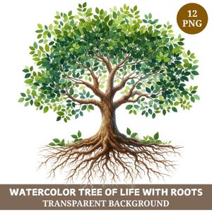 Watercolor Tree of Life Clipart: 12 PNG Bundle (Digital Download)