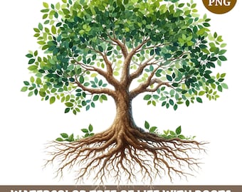 Watercolor Tree of Life Clipart: 12 PNG Bundle (Digital Download)