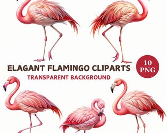 Flamingo Clipart Bundle: Elegant Bird Illustrations, Digital Download, 10 PNGs