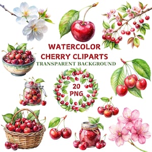 Watercolor Cherry Clipart Bundle: Blossom, Fruit, Wreath (PNG Digital Download)