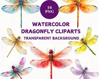 Watercolor Dragonfly Clipart Bundle: 16 PNG Insect Illustrations (Digital Download)