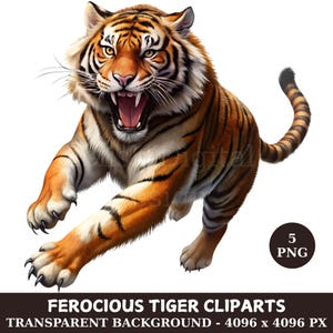 Ferocious Tiger Clipart Bundle, 5 Transparent png, Wildlife Art, Printable Tiger png, Angry tiger, Digital Download, Tiger Illustrations