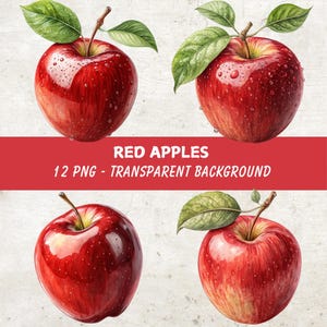 Roter Apfel Clipart Bundle, 12 hochwertige Png Illustrationen, Obst Clipart, digitales Basteln, transparenter Hintergrund png, digitaler Download