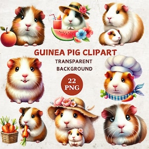 Watercolor Guinea Pig Clipart Bundle, 22 Transparent Background png, Digital Download, Guinea Pig png, Junk Journal, Nursery Decor