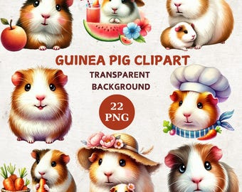 May include: A set of 22 digital clipart images featuring cute guinea pigs in various poses and outfits. The guinea pigs are depicted with brown and white fur, and some are wearing hats, chef hats, and other accessories. The images have a transparent background.