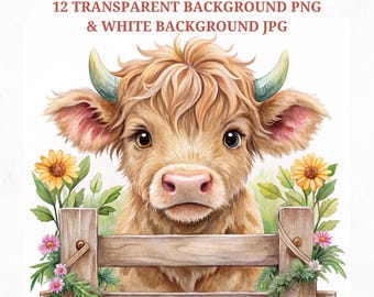 Watercolor Baby Highland Cow Clipart Bundle (PNG, JPG)