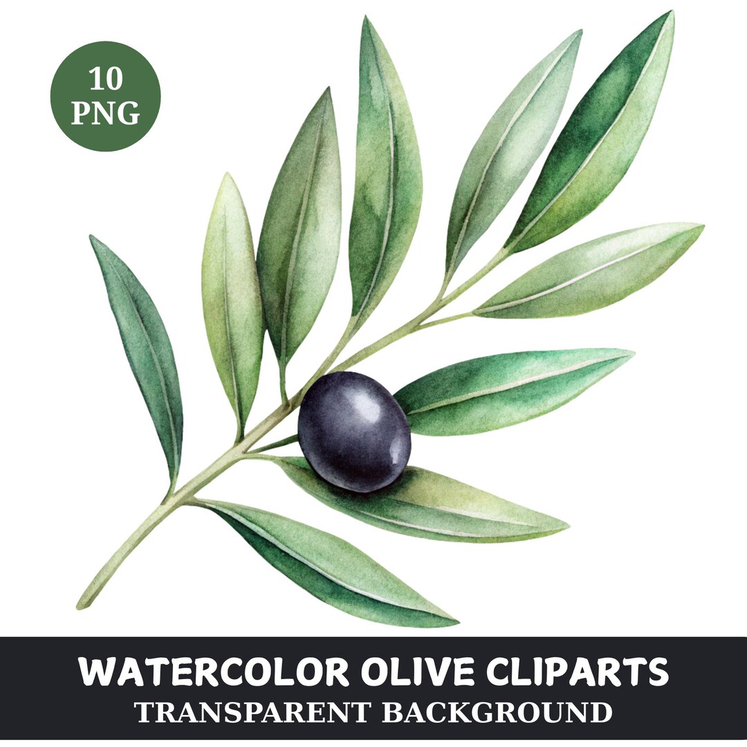 watercolor-olive-branches-clipart-10-transparent-png-botanical-leaves